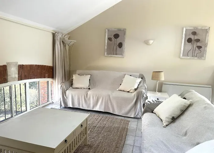 펜션 Les Figuiers 라론드레모레